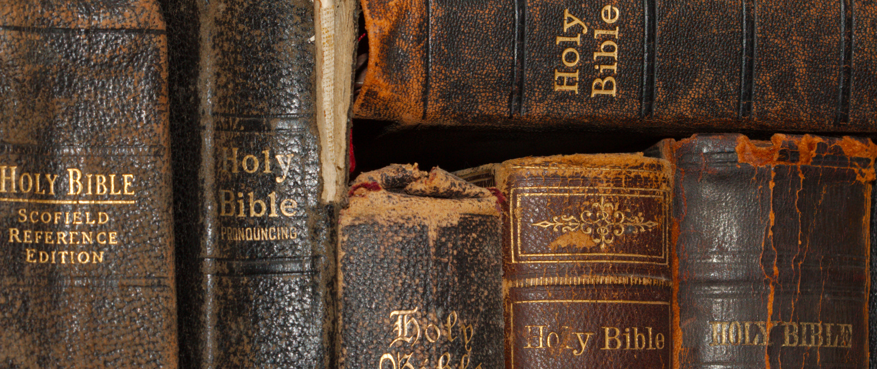 Bibles in different languages